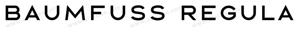 Baumfuss Regular字体转换